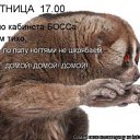 ���� ������, ������, 39 ��� - ��������� 24 ������ 2012