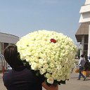 ���� �������� �, ������, 34 ���� - ��������� 28 ���� 2013 � ������ ���� ����������