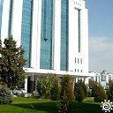  , , 72  -  8  2013   ,   