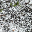 ���� ������ ����������, ����-�����������, 52 ���� - ��������� 11 ������ 2012 � ������ ���� ����������