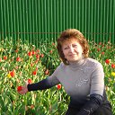 ���� ����� ����������, ��������, 65 ��� - ��������� 7 ������ 2011