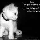  , , 46  -  26  2010   ...)