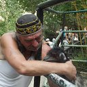 ���� ���������, �����������, 66 ��� - ��������� 7 ������� 2012 � ������ ���� ����������