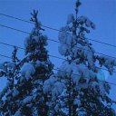 ���� ���������, ���������� - ��������� 10 ������ 2010 � ������ �*** ������� ***�