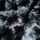 ���� ������, ��������� - ��������� 2 ��� 2010 � ������ ��������