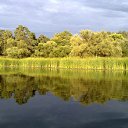 ���� ������, ������, 34 ���� - ��������� 5 ������ 2010 � ������ ���������� ������