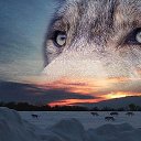 ���� �������, ������ - ��������� 13 ���� 2013