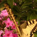 ���� �����, ������, 38 ��� - ��������� 9 ������� 2010 � ������ �������
