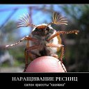 ���� �����, ������ - ��������� 21 ����� 2013 � ������ �������!!!!!!!!!!�