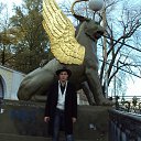 ���� Amyr, ���������, 48 ��� - ��������� 19 �������� 2012 � ������ ���� ����������