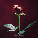 ���� ����, ��������, 42 ���� - ��������� 11 ������ 2011 � ������ ���� ����������