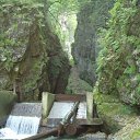 ���� ��������� ��������, �����������, 49 ��� - ��������� 31 ������ 2013 � ������ ������ �������