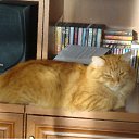 ���� �������, �����-��������� - ��������� 3 ������� 2011 � ������ ������� ���!�