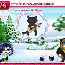 ���� ������ ~������~, ������ - ��������� 11 ������� 2010 � ������ �PetLove�