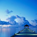 ���� ���������, ������, 38 ��� - ��������� 26 ������ 2011 � ������ ���� ����������