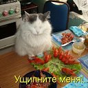 ���� �������, ����-���������, 60 ��� - ��������� 23 ������ 2010 � ������ ���������!�
