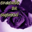 ���� Mhmad, ������, 48 ��� - ��������� 28 ������ 2012 � ������ ���� ����������