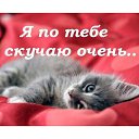  , -- -  28  2013      