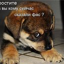 ���� Mari, ���������, 39 ��� - ��������� 16 ������� 2012 � ������ ���� ����������