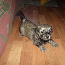  ( ), , 39  -  16  2013    