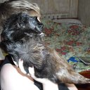 ���� ����, �������� - ��������� 15 ��� 2010 � ������ ��������