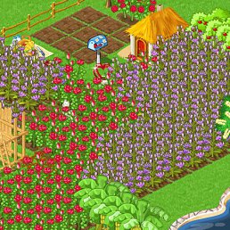 ���� �����, ������, 41 ��� - ��������� 5 ������� 2011