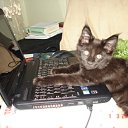 ���� �������, ���������, 49 ��� - ��������� 4 ����� 2011 � ������ �Magnificent�