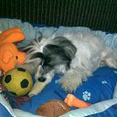 ���� Yushka Ya, �����-��������� - ��������� 12 ������ 2013 � ������ ���� �������)�