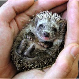 ���� ����� Z., ������, 46 ��� - ��������� 27 ��� 2013