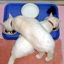 ���� ���, ���������, 25 ��� - ��������� 23 ������ 2013 � ������ ���� ����������
