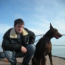  Dobermann, , 38  -  13  2010    !!!