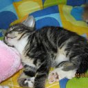 ���� ����, ������, 36 ��� - ��������� 2 ������� 2011 � ������ ���������