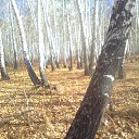  Masha, , 43  -  15  2012   