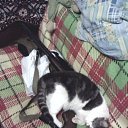  , -, 57  -  12  2012   