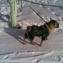 ���� ����, �������, 44 ���� - ��������� 21 ������ 2011 � ������ ���� ��������