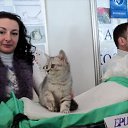 ���� �����, ����� - ��������� 1 ������� 2011 � ������ ��������� ����� � �����.����� 2011�