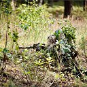 ���� Lexa, �����-�������, 29 ��� - ��������� 21 �������� 2012 � ������ ���� ����������