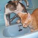 � � ���� ������-�����!!! �� ������� ���� �������� � ������ �����...�