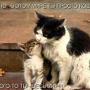 ���� �������, ����-���������, 60 ��� - ��������� 23 ������ 2010 � ������ ���������!�