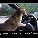 ���� �������, ������, 39 ��� - ��������� 23 ������� 2010 � ������ ��������������