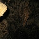 ���� �����, ������, 71 ��� - ��������� 17 ������� 2011 � ������ ���� ������������