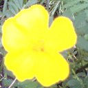 , , 51  -  11  2009   