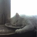  -, -, 52  -  5  2011    