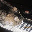 ���� �����, ��������, 24 ���� - ��������� 13 ���� 2012 � ������ ���� ����������