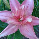 ���� ������, ������, 63 ���� - ��������� 5 ������� 2011 � ������ ������-���� �����-2�