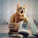 ���� �������, ���������, 57 ��� - ��������� 10 ������ 2012 � ������ ������� ���� �������