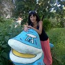 ���� �����, ������������, 43 ���� - ��������� 4 ������ 2012 � ������ ���� ����������