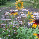 ���� ������, ������, 57 ��� - ��������� 1 ���� 2013 � ������ �������