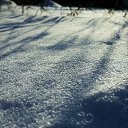���� ���������, ������ - ��������� 11 ����� 2012 � ������ �����