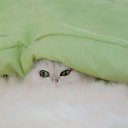 ���� ����� - ���������� ��������!!!, �����������, 56 ��� - ��������� 4 ������� 2009 � ������ ����������� :-)�